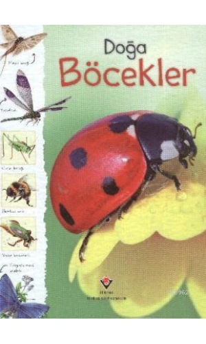 Doğa - Böcekler