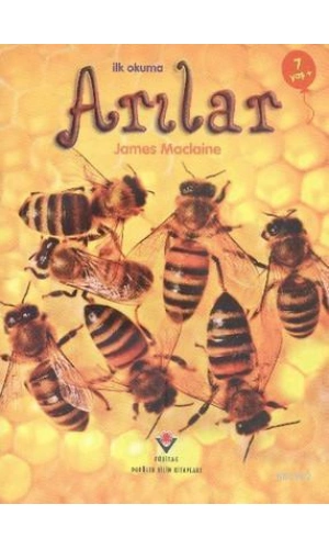 İlk Okuma - Arılar