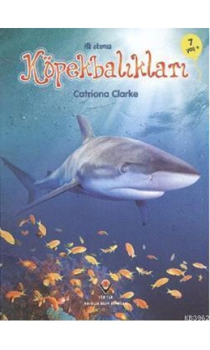 İlk Okuma - Köpekbalıkları