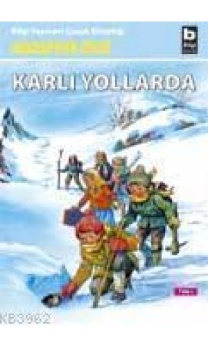 Karlı Yollarda