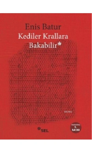 Kediler Krallara Bakabilir