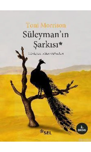 Süleymanın Şarkısı