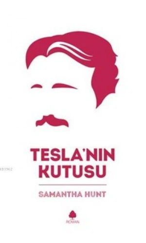 Teslanın Kutusu