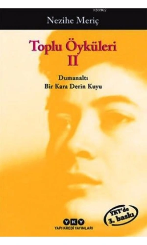 Toplu Öyküleri 2; Bütün Yapıtlarına Doğru