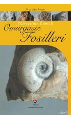 Türkiye´nin Önemli Omurgasız Fosilleri