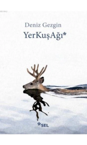 YerKuşAğı
