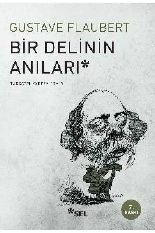 Bir Delinin Anıları