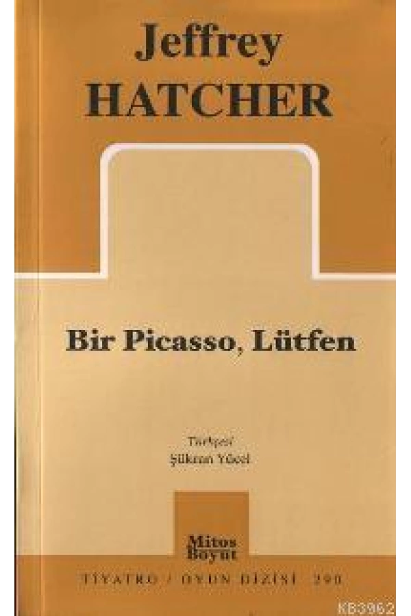 Bir Pıcasso, Lütfen