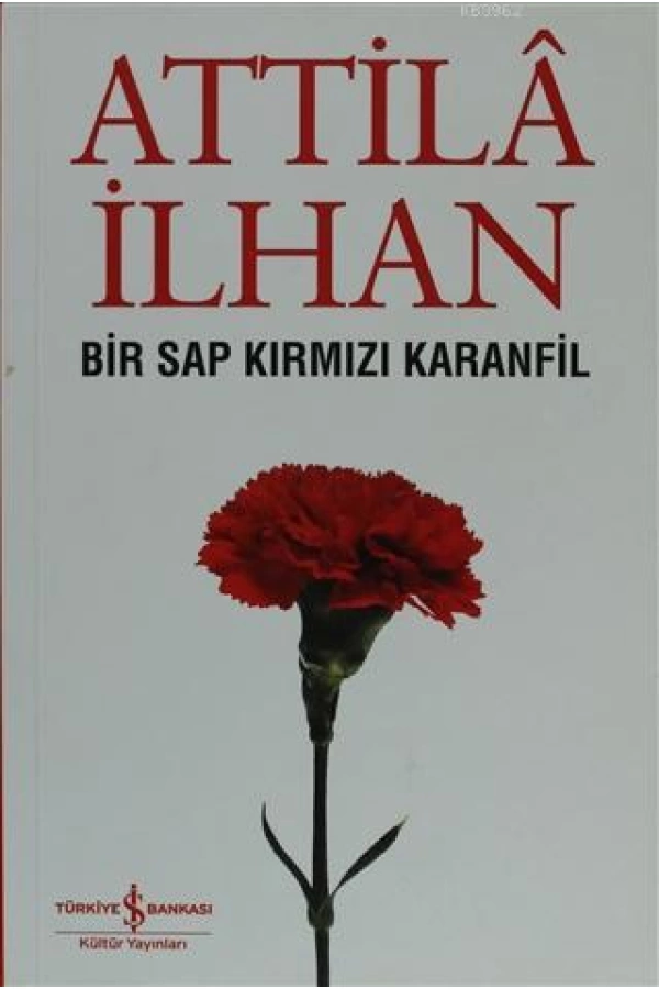 Bir Sap Kırmızı Karanfil Cumhuriyet Söyleşileri (Eylül 96 - Mart 97)