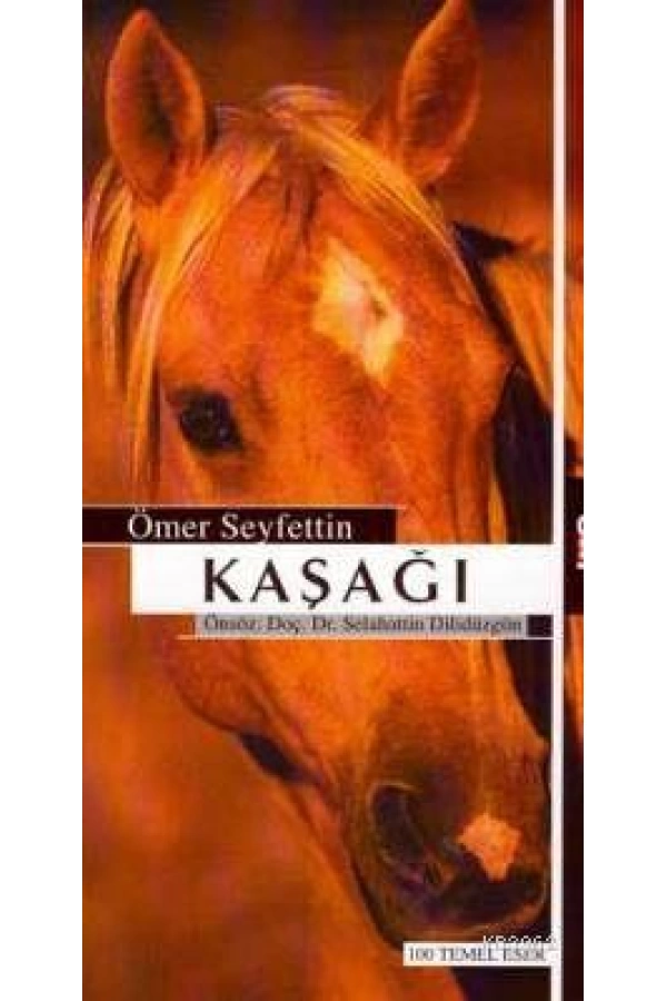 Kaşağı