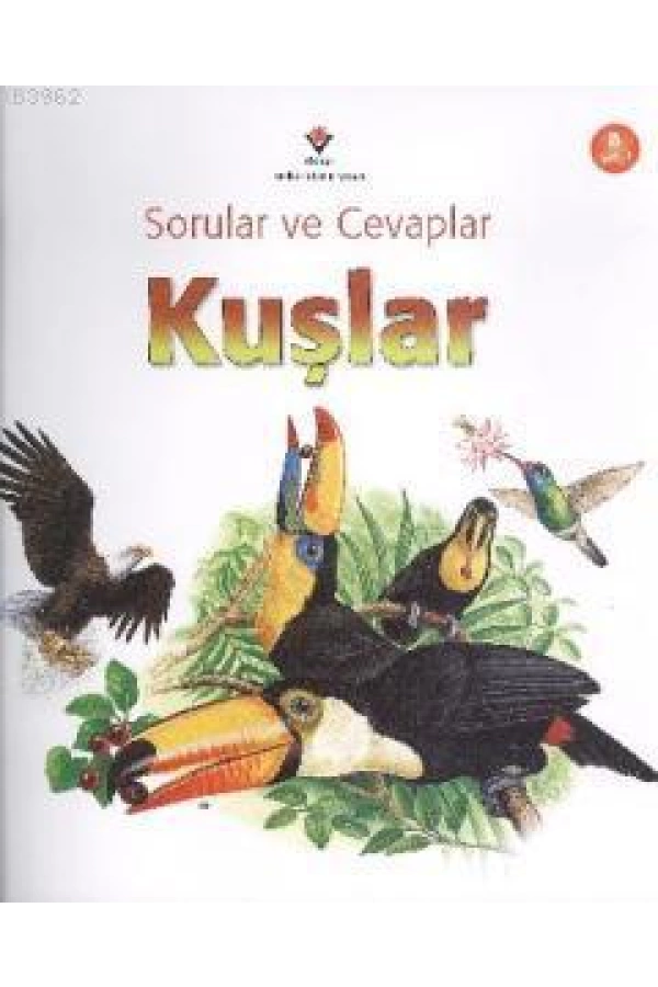 Sorular ve Cevaplar - Kuşlar