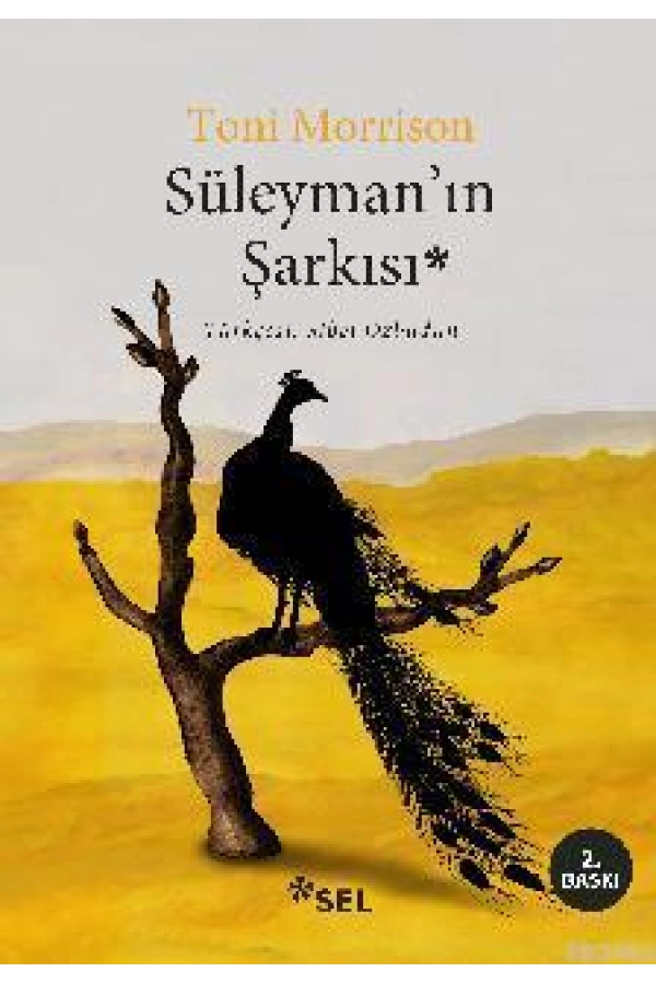 Süleymanın Şarkısı