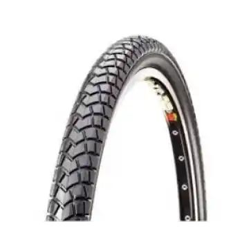20X1.95 BL300 TT