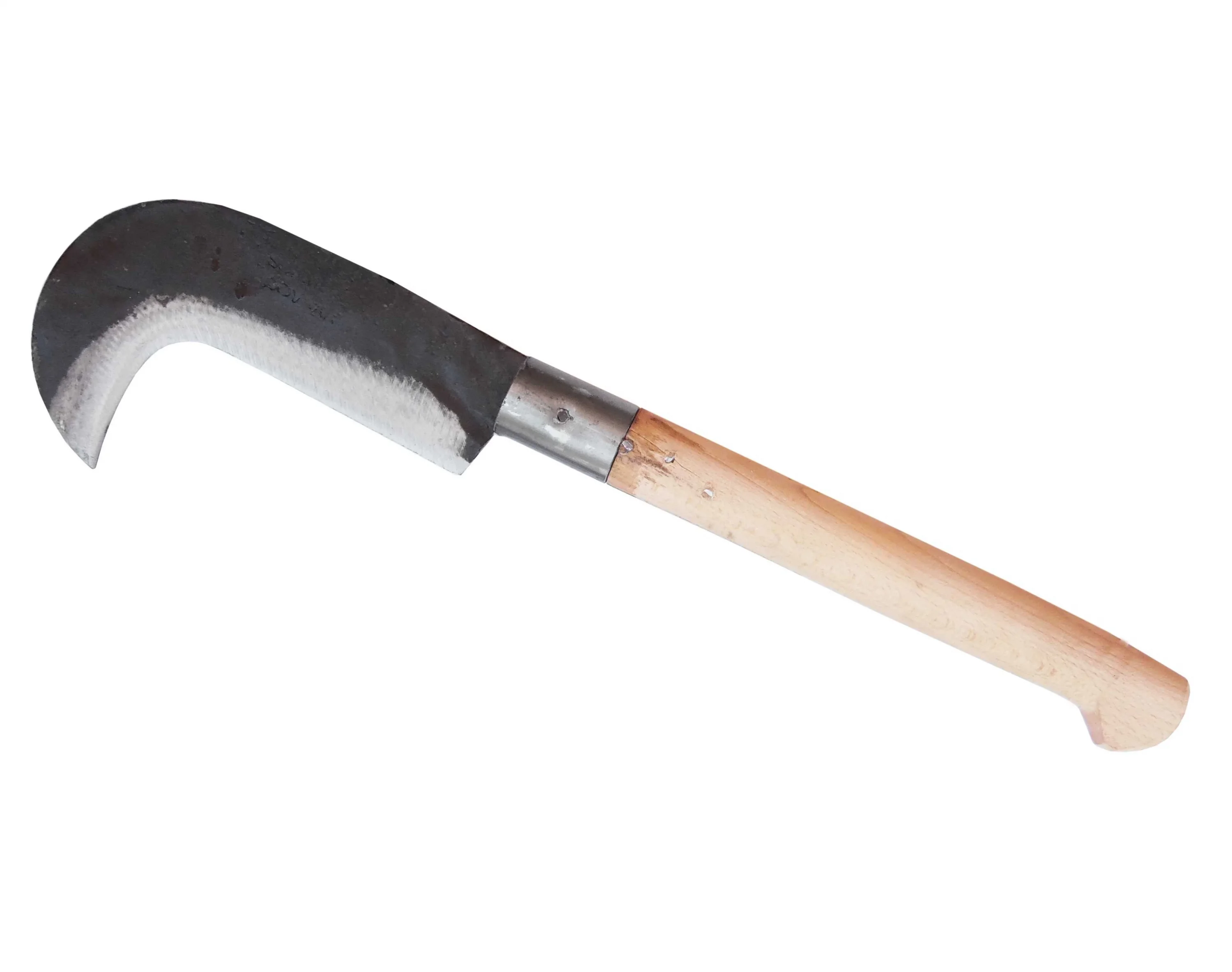 ORAK (UZUN SAPLI VE KISA SAPLI YERLİ)