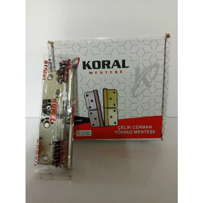 ÇELİK CERMAN SATEN YÖNSÜZ MENTEŞE (20 Adet)