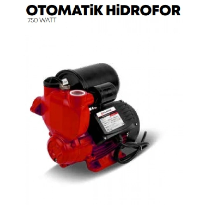 Otomatik Hidrofor 750W STR-1792