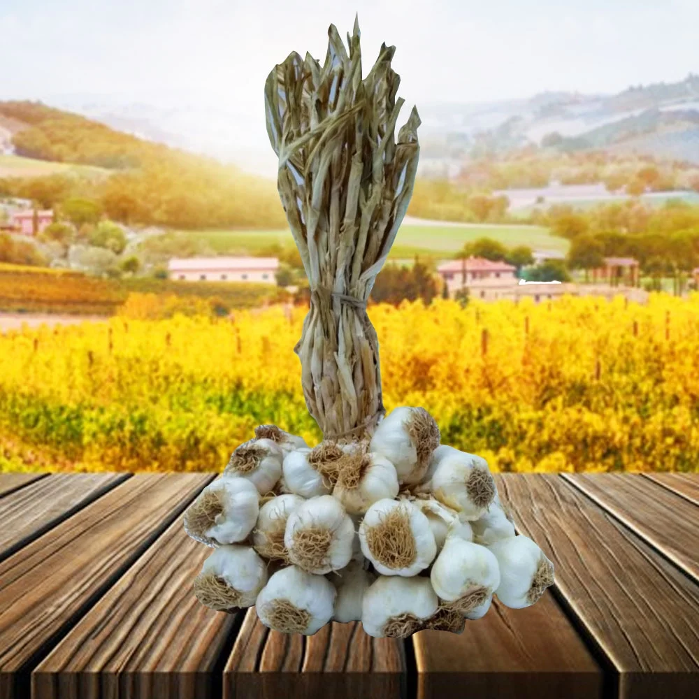 Taşköprü Sarımsağı Orta Boy