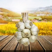 Taşköprü Sarımsağı Büyük Boy