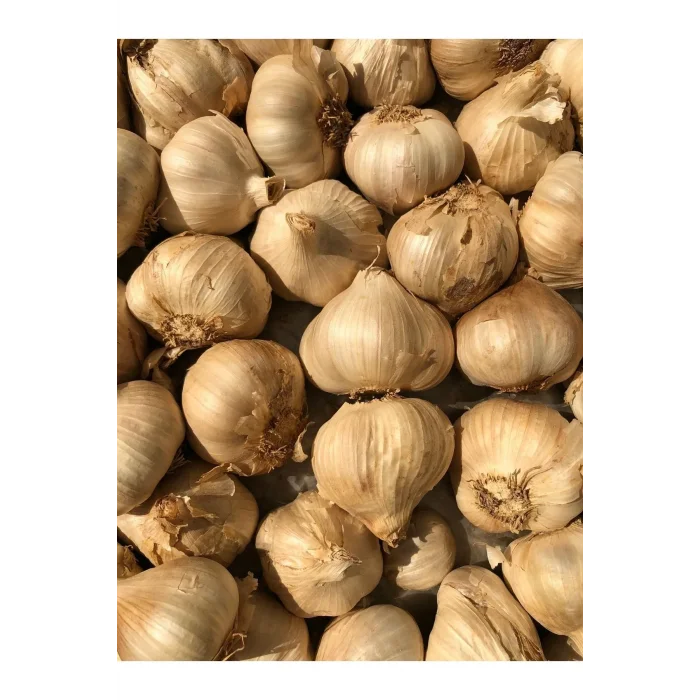 1000 gr Siyah Sarımsak