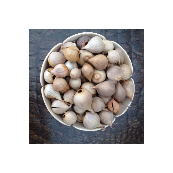 65 gr Tek Diş Siyah Sarımsak