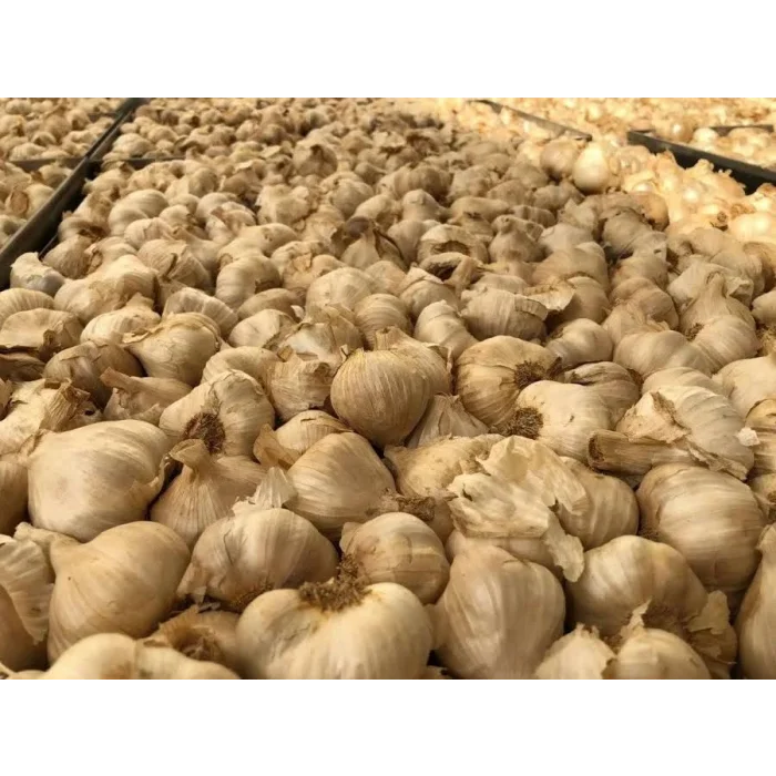 Siyah Sarımsak Baş 100 gr Pet Kavanoz