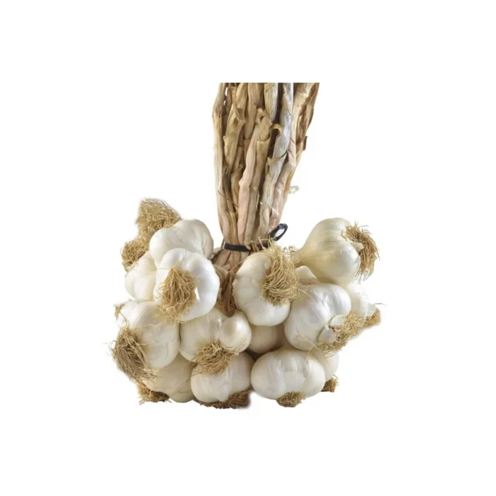 YENİ SEZON TAŞKÖPRÜ SARIMSAĞI İRİ BOY