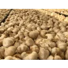 500 gr Siyah Sarımsak