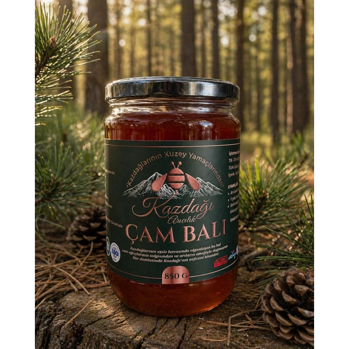 Kazdağı Çam Balı 850g