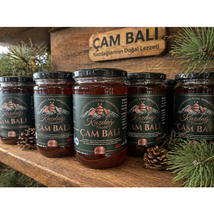 Kazdağı Çam Balı 850g