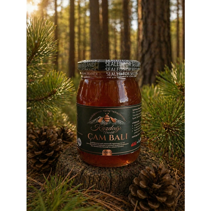 Kazdağı Çam Balı 500g