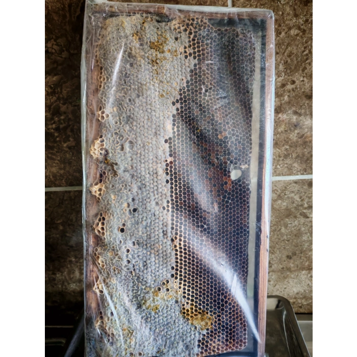 Çıtalı Çam Petek Bal Net 2000g