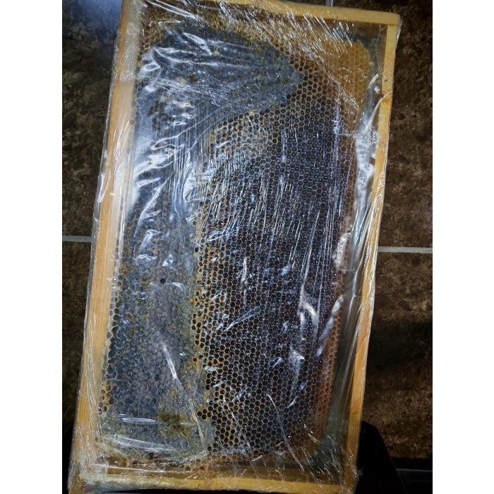 Çıtalı Çam Petek Bal Net 2400g