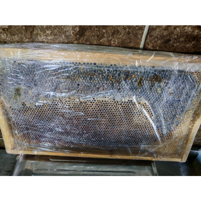 Çıtalı Çam Petek Bal Net 2400g