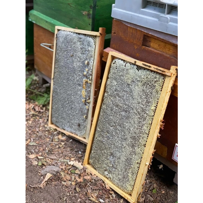 Sınırlı Stok Petekli Siyah Bal 1500 Gram