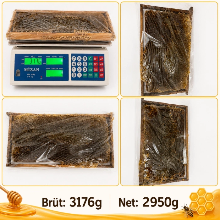 Kazdağı Petekli Çiçek Balı 2950g