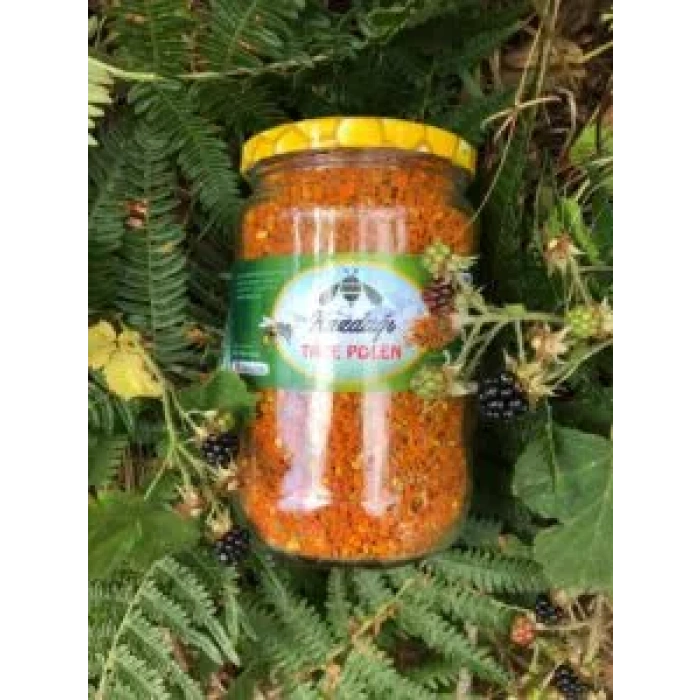 Kazdağı Dondurulmuş Taze Polen 500gr (Soğuk Zincir Ürünüdür)