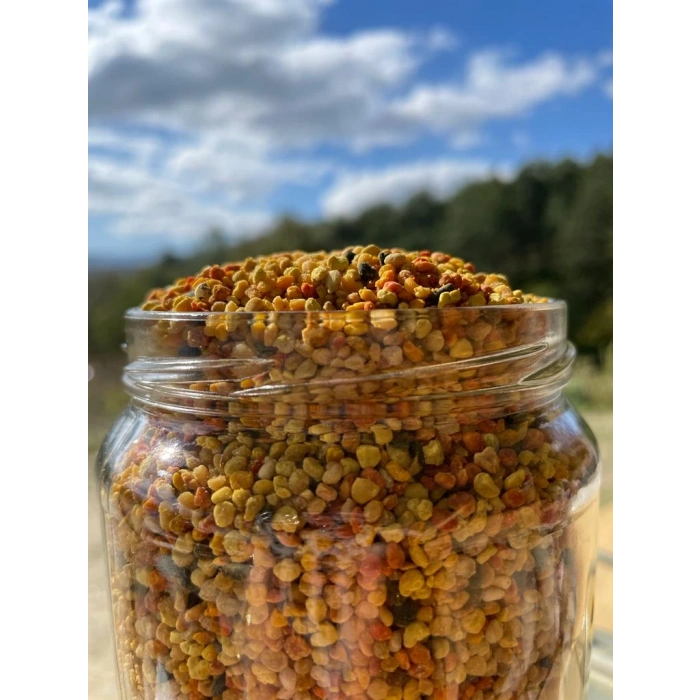 Kazdağı Dondurulmuş Taze Polen 500gr (Soğuk Zincir Ürünüdür)