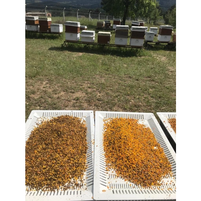 Kazdağı Dondurulmuş Taze Polen 500gr (Soğuk Zincir Ürünüdür)