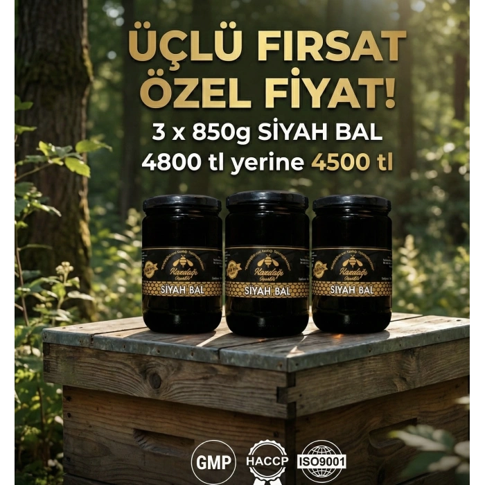 ÜÇLÜ SİYAH BAL FIRSATI