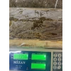 Çiçek petek bal net:3100g