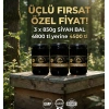 ÜÇLÜ SİYAH BAL FIRSATI