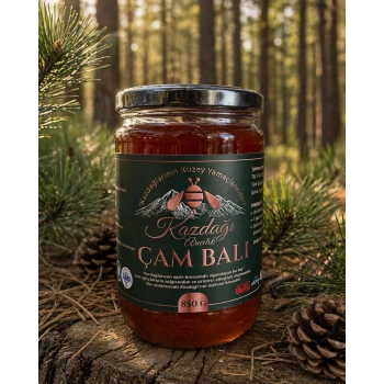 Kazdağı Çam Balı 850g