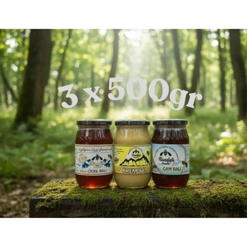 Bal Paketim 3 (3x500gr Çiçek & Çam & Krem Bal)