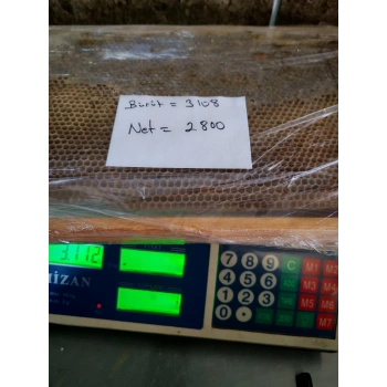 Çıtalı Çam Petek Bal Net 2800g