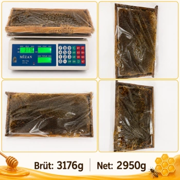 Kazdağı Petekli Çiçek Balı 2950g