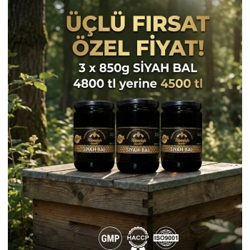 ÜÇLÜ SİYAH BAL FIRSATI