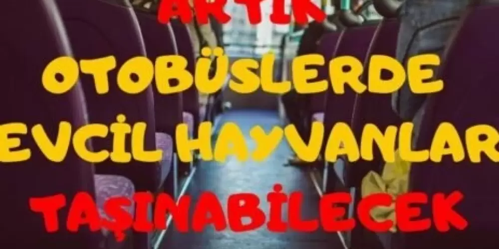 Otobüste kuş taşınır mı?