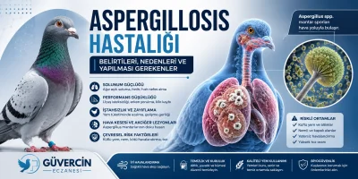 Aspergillosis Hastalığı: Belirtileri, Nedenleri ve Yapılması Gerekenler