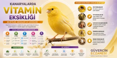 Kanaryalarda Vitamin Eksikliği: Belirtileri, Nedenleri ve Yapılması Gerekenler