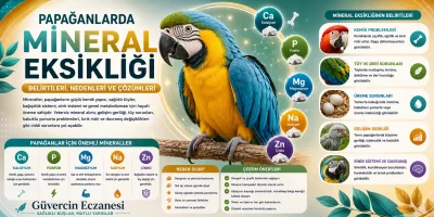 Papağanlarda Mineral Eksikliği: Belirtileri, Nedenleri ve Yapılması Gerekenler